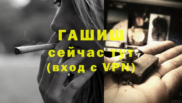 прущие грибы Нефтекумск
