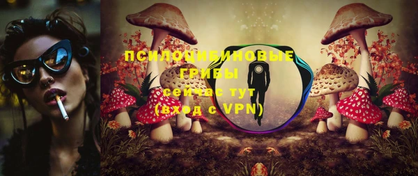 прущие грибы Армянск