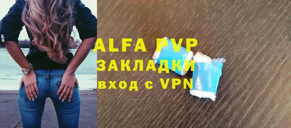 прущие грибы Нефтекумск