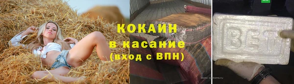 прущие грибы Армянск